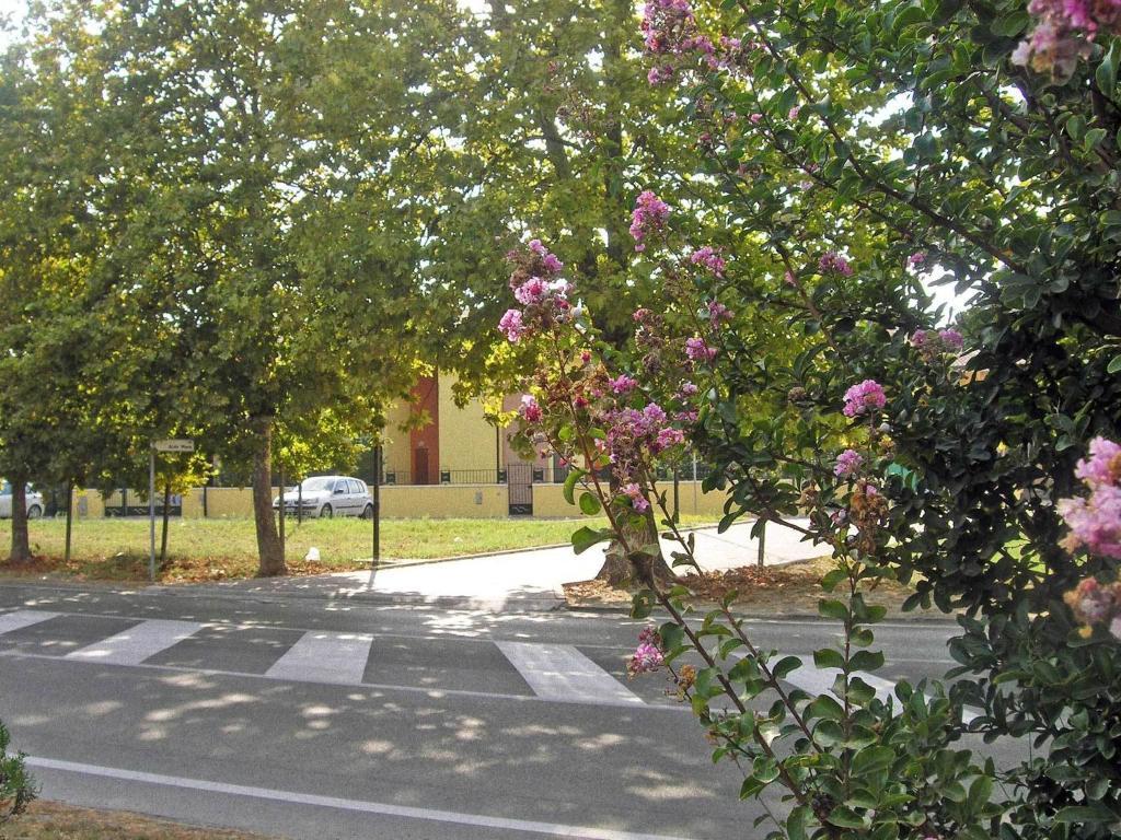 Residence Mediterraneo Lido delle Nazioni Bilik gambar